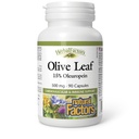 Φυτικά προϊόντα από Φυσικούς Παράγοντες, Olive Leaf 500 mg, Natural Wellness Formula, 90 Κάψουλες