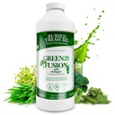 Θαμμένο Treasure Green20 Σύντηξη – Superfood Blend με Vollagen για το δέρμα, τα μαλλιά, και κοινή υποστήριξη, φυτικής βάσης, Vegan, μη Γλουτένη-GMO, Γαλακτο-ελεύθερο, χωρίς σόγια, 32oz υγρό