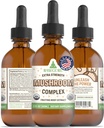 RawGuru Organic Mushroom Complex Βάμμα - Organic Mushroom Extract with Trace Minerals - Nano-Processed Συμπληρώματα Γνωστικής & Ανοσολογικής Υποστήριξης - 60 Μερίδες Vegan Drops ανά 60 ml, Συσκευασία 1