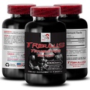 Φόρμουλα υποστήριξης Stamina - TRIBULUS TERRESTRIS EXTRACT - Επαναφόρτιση ισχύος, μείγμα υποστήριξης δύναμης, φυσική ενίσχυση, ενέργεια που τροφοδοτείται από φυτά, φόρμουλα υποστήριξης σώματος, δύναμη και δύναμη, ενεργό δύναμη 1Bot 90Tab