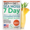 Atlantic Naturals Sea Moss 7 Day Detox Liver, Gallbladder & Kidney Cleanse - Υποστήριξη με Dandelion Root, Milk Thistle, Burdock Root, Red Clover, Chanca Piedra - Ανανάς ποτό γεύσης Mix (14 oz)