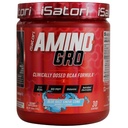 iSatori Amino-GRO BCAA σκόνη, διακλαδισμένη αλυσίδα Αμινοξέα με γλουταμίνη, ηλεκτρολυτική σκόνη & Bio-GRO Bio-Active Peptides για την ανάπτυξη μυών & μετά την αποκατάσταση προπόνησης, Blue Razz Snow Cone (30 εξυπηρετήσεις)