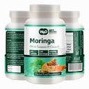 Moringa Tablets με Turmeric και Ginger, 300 χάπια, 5μηνη προμήθεια, 150 Serving, 1000 Mg ανά υπηρεσία. Μία κάψουλα με πολλαπλά οφέλη - Υποστηρίζει Digestive Health(Pack of 1)