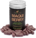 Noomadic Maqui Berry, 60 κάψουλες 500mg έκαστο, Αντιοξειδωτικό (Υψηλό ORAC), Υποστήριξη ανοσοποιητικού συστήματος, Υποστηρίζει Ξηρά Μάτια (Υποστηρίζει την παραγωγή δακρύων), Τυποποιημένο εκχύλισμα (10% Ανθοκυανίνες)