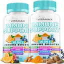 10-σε-1 Ανοσολογική Υποστήριξη με Elderberry, D3, Selenium, Quercetin, Zinc, Vitamin C, Ginger, Turmeric Curcumin, B6, Echinacea – Ανοσολογική Άμυνα – Κατασκευασμένο στις ΗΠΑ (60 Count (Pack of 2))