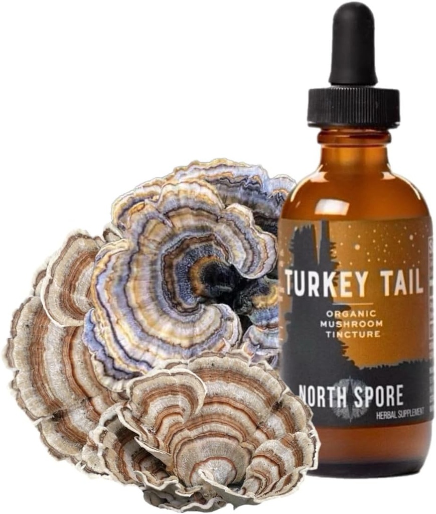 North Spore Organic Turkey Tail Tigture 