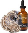 North Spore Organic Turkey Tail Tigture 