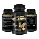 Gallobiotic Natural Multivitamin for Rooster, Hens - 100 Tablets | Vitamina Completas para Gallos