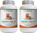 Σκύλος Bladder Υποστήριξη - Σκύλος Urinary Health Formula - Βοηθά με θέματα Ακράτειας και Bladder - Ανοσοποιητικό Boost - Σκύλος Cranberry συμπλήρωμα μασούν - 2 μπουκάλια (180 Θεραπείες)