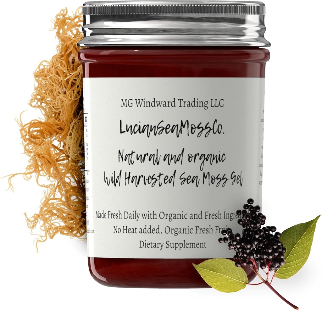 Dr. Sebi Εμπνευσμένο Alkaline Organic Fresh Elderberry Ginger Sea Moss Gel - Φυσικές Ουσιώδεις Βιταμίνες, Ορυκτά Plus Αντιοξειδωτικά Άγρια Συγκομιδή από την Αγία Λουκία (8 οζ.)