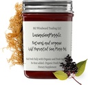 Dr. Sebi Εμπνευσμένο Alkaline Organic Fresh Elderberry Ginger Sea Moss Gel - Φυσικές Ουσιώδεις Βιταμίνες, Ορυκτά Plus Αντιοξειδωτικά Άγρια Συγκομιδή από την Αγία Λουκία (8 οζ.)