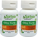 Giloy Forte Κάψουλες 500 mg. 60 Veg. Κάψουλες 