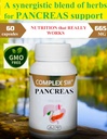 Pancreas Cleanse Detox & συμπλήρωμα επισκευής με όλα τα φυσικά ένζυμο παπαΐνης, Bromelain, εκχύλισμα ανανά, ψευδάργυρος, χρώμιο, μαγγάνιο. Revitalizer & Detox Formula για την υγεία των Gut.