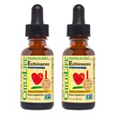 Παιδικές σταγόνες Echinacea για παιδιά - Παιδιά Echinacea Drops, Υγρή Βάμμα, Αλκοόλ Δωρεάν συμπλήρωμα για μωρά, Toddlers, Παιδιά - Φυσικό Πορτοκάλι, 1 fl Oz (πακέτο του 2)