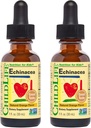 Παιδικές σταγόνες Echinacea για παιδιά - Παιδιά Echinacea Drops, Υγρή Βάμμα, Αλκοόλ Δωρεάν συμπλήρωμα για μωρά, Toddlers, Παιδιά - Φυσικό Πορτοκάλι, 1 fl Oz (πακέτο του 2)