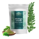 Moringa αφήνει σκόνη Oleifera Leaf Shigru Μεγάλη σε ποτά και smoothies 16 ουγγιά