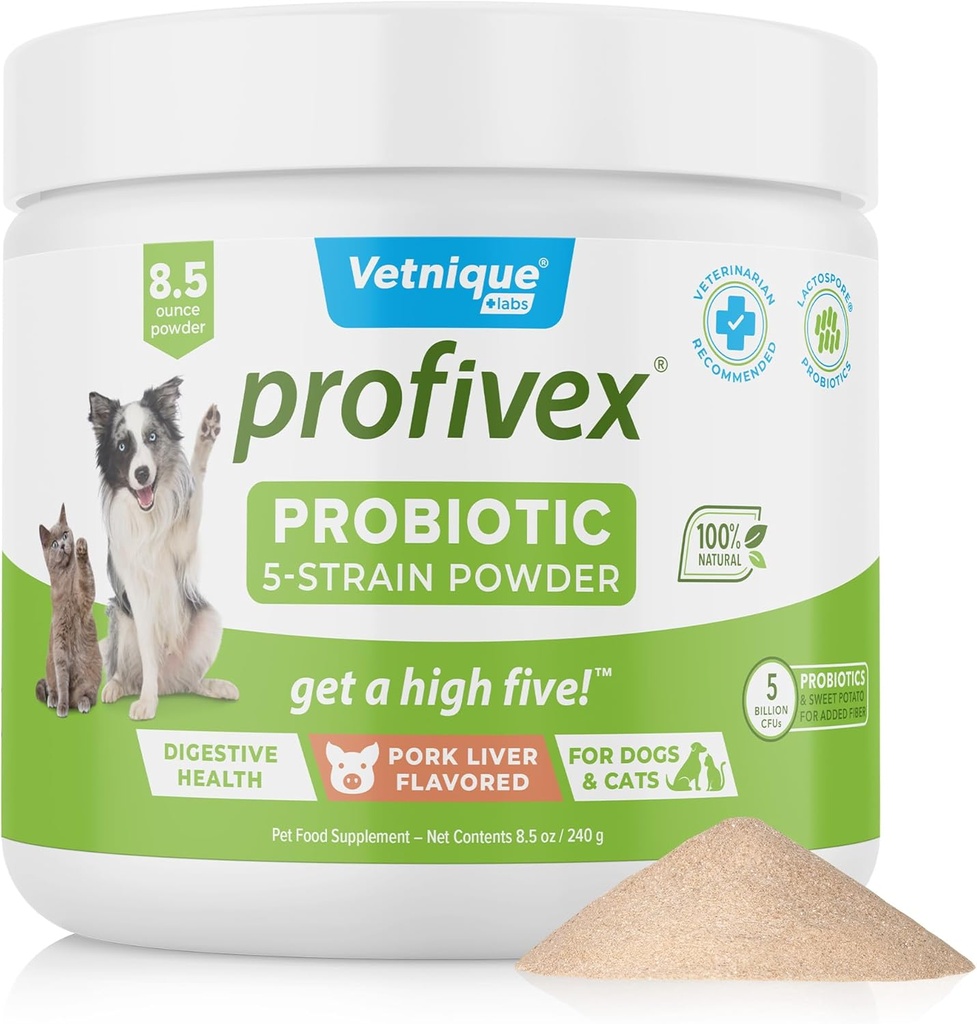 Vetnique Labs Profivex Probiotics για σκύλους Όλα τα φυσικά σκυλιά Chews & σκόνη για την Digestive Υγεία Probiotic συμπληρώματα για σκύλους 5 Strains των προβιοτικών & προβιοτικών (Powder, 8.5oz)