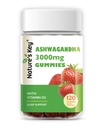 Nature's Key Ashwagandha Gummies, High Potency Ashwagandha Root Extract με βιταμίνη D2, για άνδρες & γυναίκες, άγχος, ηρεμία Mood & Cognition, φράουλα Γεύση (120 κόμης (πακέτο του 1)