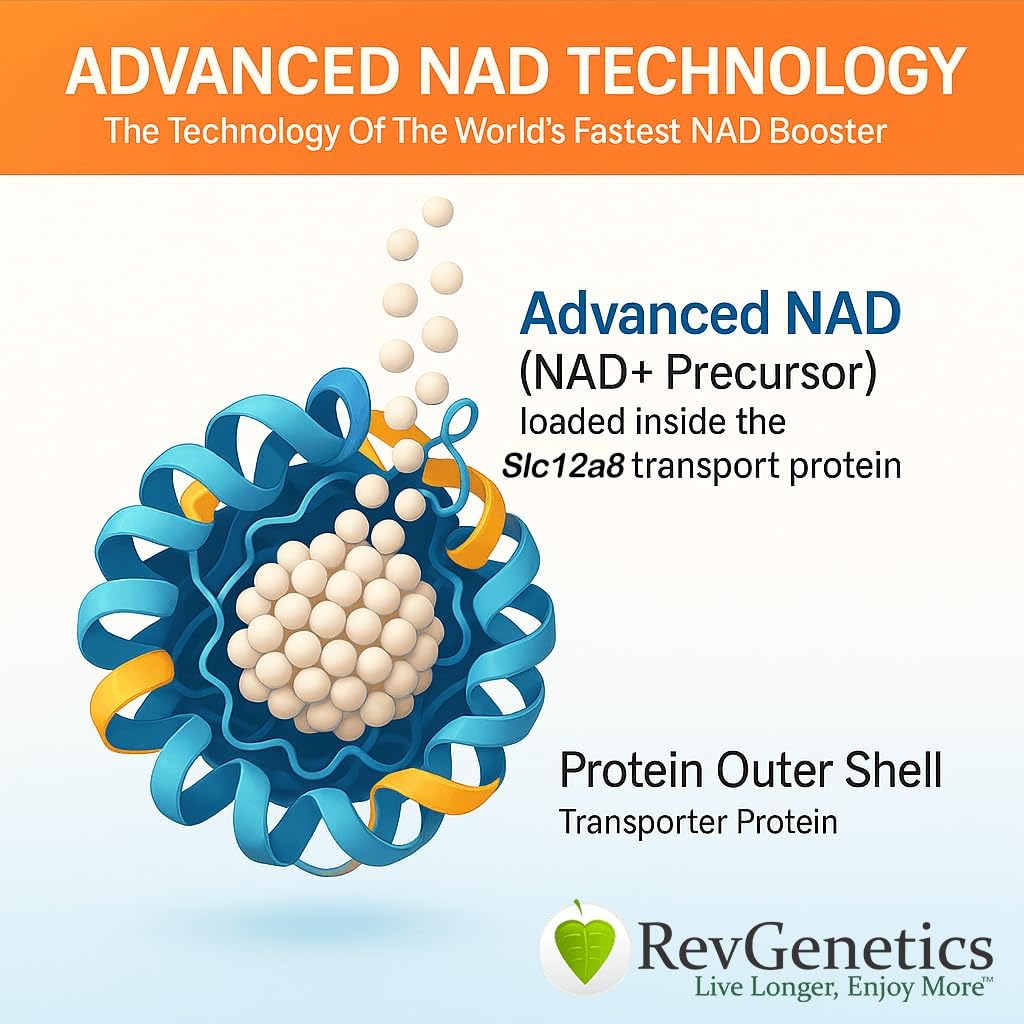 REVGENETICS Σύνθετη NAD+ συμπλήρωμα, 60 κάψουλες - Συμπλήρωμα διατροφής για υγιή γήρανση & μακροζωία