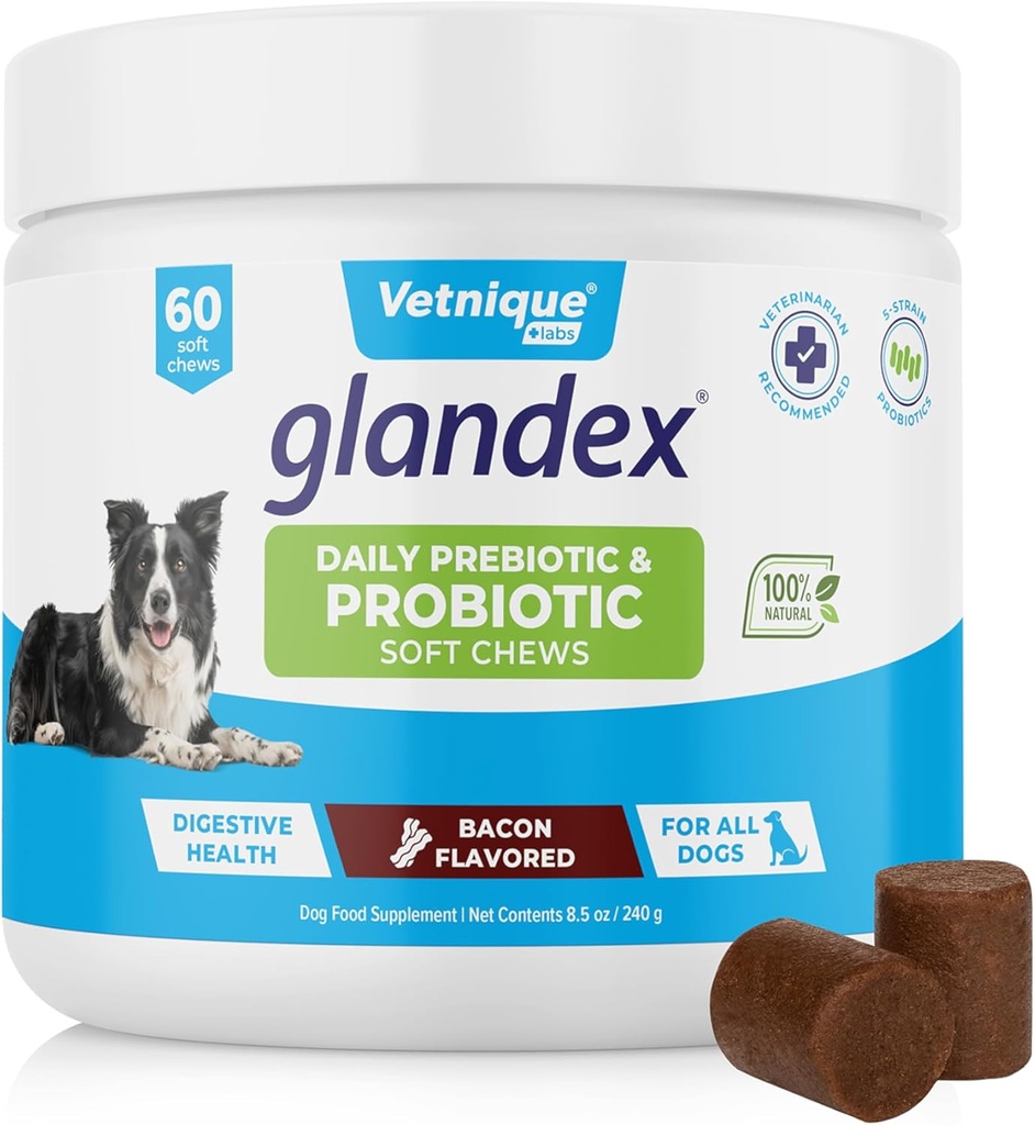 Vetnique Glandex καθημερινά προβιοτικά για σκύλους με πρεβιοτικά για την υποστήριξη της υγείας των ουρών με ένζυμα Fiber και Digestive, προβιοτικά μάσημα ή σκόνες (60ct Chews, Bacon Chews)