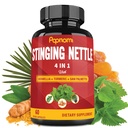Stinging Nettle Extract Capsules with Boswellia, Turmeric & Saw Palmetto - 2 Month Supply for Joint, Body Management, Skin, Hair & Immunity