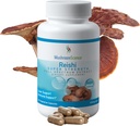 MushroomScience Reishi Mushroom Κάψουλες, Super Strength Full Spectrum Extract, Φυσικό συμπλήρωμα μανιταριών για ενήλικες, ζεστό νερό εκχυλιζόμενα μανιτάρια, υποστήριξη υγείας, χορτοφάγους, 400MG, 90 CT