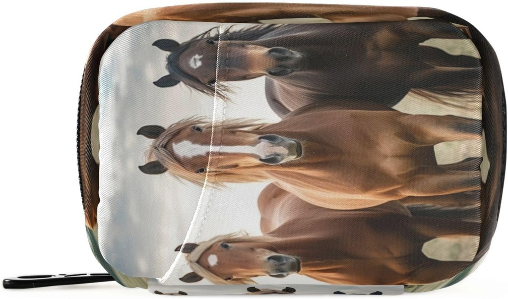 Horse Pill Organizer υπόθεση Portable Weekly Daily Pill τσάντα τσάντα με Zipper για συμπληρώματα Ιατρική Travel Family Business