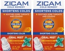 Zicam κρύο Remedy ψευδάργυρος Αρκτική νομισματοκοπείο στοματική Mist, 1 ουγγιά (πακέτο του 2)