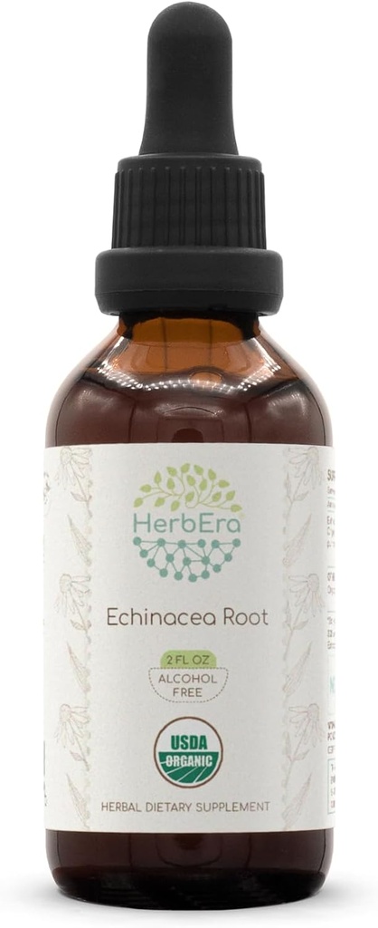 HerbEra Echinacea Root B60 USDA Organic Tincture | Alcohol-Free Extract, High-Potency Herbal Drops, Immune System Health | Certified Organic Echinacea Root (Echinacea Purpurea) Dried Root (2 fl oz)