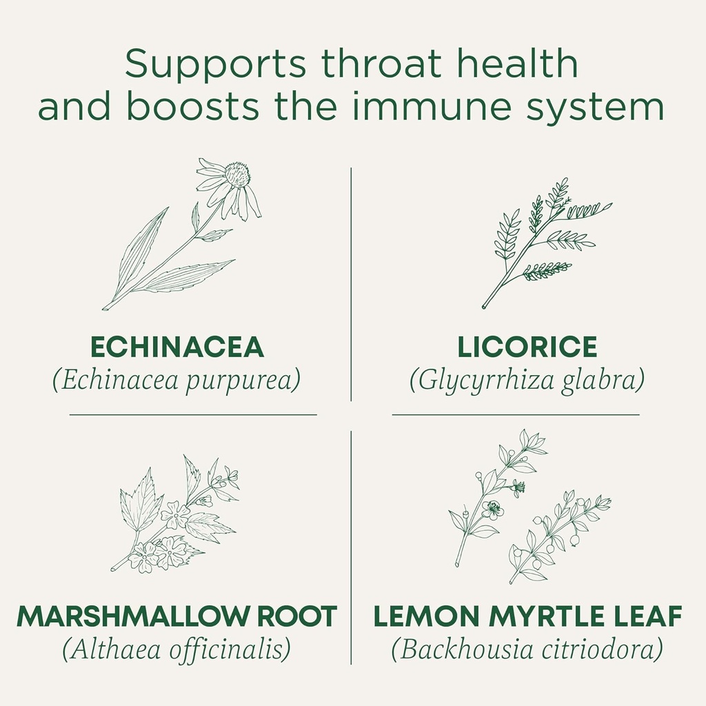 Παραδοσιακά φάρμακα Lozenges, Organic Throat Coat Lemon Ginger Echinacea, Sore Lroat Support, 16 Count (Pack of 2)