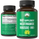 Nicotinamide Riboside NR Συμπλήρωμα. NMN εναλλακτικό συμπλήρωμα NAD + νιακιναμίδιο για NAD+ επίπεδα όπως εμείς ηλικία. Τρίτο μέρος δοκιμαστεί, μη-GMO, Χωρίς γλουτένη, Vegan NR συμπληρώματα βιταμίνης για γυναίκες και άνδρες