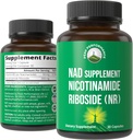 Nicotinamide Riboside NR Συμπλήρωμα. NMN εναλλακτικό συμπλήρωμα NAD + νιακιναμίδιο για NAD+ επίπεδα όπως εμείς ηλικία. Τρίτο μέρος δοκιμαστεί, μη-GMO, Χωρίς γλουτένη, Vegan NR συμπληρώματα βιταμίνης για γυναίκες και άνδρες