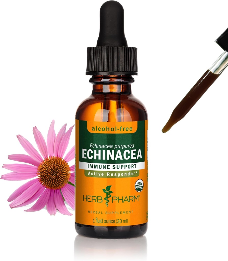 Herb Pharm Organic Echinacea Root Extract, Χωρίς αλκοόλ: Υποστήριξη ανοσοποιητικού συστήματος για όλες τις εποχές, Συμπλήρωμα φυτών Echinacea ταχείας δράσης, μη GMO, Vegan & Gluten-free, 1 Oz
