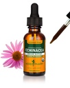 Herb Pharm Organic Echinacea Root Extract, Χωρίς αλκοόλ: Υποστήριξη ανοσοποιητικού συστήματος για όλες τις εποχές, Συμπλήρωμα φυτών Echinacea ταχείας δράσης, μη GMO, Vegan & Gluten-free, 1 Oz