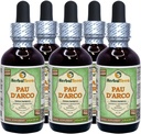 PAU d'arco (Tabebuia Impetiginosa) Γλυκερίτης, Αποξηραμένο Χωρίς Αλκοόλ Εκχύλισμα Υγρού (Όνομα: HerbalTerra, Περήφανα Κατασκευασμένο στις ΗΠΑ) 5x2 fl.oz (5x60 ml)