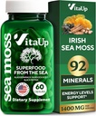 Wildcrated Irish Sea Moss Κάψουλες με Burdock Root & Bladderwrack - ΗΠΑ Made Sea Moss Advanced for Hair, Skin, Immune & Energy Levels Support - SeaMoss Χάπια - 60 Vegan Κάψουλες