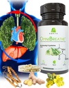 OMNIBREATHE - Γρήγορη βελτίωση προβλήματα αναπνοής από NAC 600MG Επιστημονικά Formulated w. Quercetin/Mullein/Coq 10/Ginger/Sting Nettle/Bromelain,3 Times w. Meal (10-Ημέρα προσφοράς για ενίσχυση)