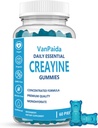Creatine Gummies Monohydrate, μασώμενα Creatine Monohydrate, μυών Boost, Energy Boost, Pre-Educate Supplement, Enhanced Bursts, Vegan, μυϊκή υποστήριξη ανάπτυξης, ανάκτηση & απόδοση, χωρίς γλουτένη