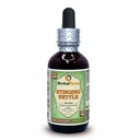 Stinging Nettle (Urtica Dioica) Glycerite, Organic Dried Leaves Alcohol-Free Liquid Extract 2 oz