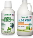 Άρση γης Aloe Vera Ποτό Gel - Πορτοκαλί Tangerine Γεύση - Ψυχρής παραγωγής - Βιολογικά Φρέσκα Φύλλα - 64floz + Υγρό Chlorophyl Mint Γεύση - Ψυχρό εκχύλισμα από Wild Non-GMO Alfalfa - 16floz