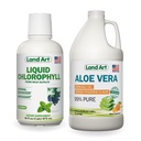 Άρση γης Aloe Vera Ποτό Gel - Πορτοκαλί Tangerine Γεύση - Ψυχρής παραγωγής - Βιολογικά Φρέσκα Φύλλα - 64floz + Υγρό Chlorophyl Mint Γεύση - Ψυχρό εκχύλισμα από Wild Non-GMO Alfalfa - 16floz