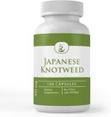 Καθαρά πρωτότυπα συστατικά Ιαπωνικά Knotweed, (100 κάψουλες) Πάντα καθαρό, χωρίς πρόσθετα ή πληρωτικά, Lab Επαληθευμένο