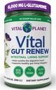 Vital Planet - Vital Gut Renew Powder Supplement for Leaky Gut Repair with L-Glutamine, Marshmallow and Ginger Root, DGL Licorice Root and Organic Aloe Vera, L Glutamine 6000mg 13.76 oz
