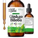 Wild & Organic Ginkgo Biloba Βάμμα - Εγκέφαλος & Focus Υποστήριξη με Ginkgo Leaf Συμπλήρωμα - Vegan, Ζάχαρη & Αλκοόλ-Δωρεάν εκχύλισμα Βάμμα - 2 fl oz