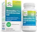 Terry Φυσικά Boswellia Plus λάδι Frankincense - Κοινό συμπλήρωμα στήριξης για την υποστήριξη της κινητικότητας & κοινής άνεσης - Υποστήριξη Κυτταρική υγεία με Boswellia & λάδι Frankincense - 60 Softgels