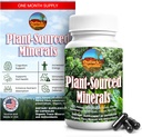 Plant-Sourced Minerals, 60 Capsules, Organic Natural Trace Minerals and Antioxidants which Support The Immune and Digestive Systems, Promoting Optimal Health. Sourced and Made in USA