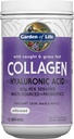 Garden of Life Marine & Grass-Fed Collagen Peptides Peptides Powder Supplement (Type I, III) με Προβιοτικά, BCAAs & Υαλουρονικό Οξύ για Ραδιενεργά Μαλλιά, Δέρμα & Νύχια – Άγευστο, 20g ανά Σερβίρισμα, 12 Υπηρεσίες