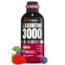 ProSupps L-Carnitine Liquid 3000, Simulant-Free Liquid Shots για άνδρες και γυναίκες - Καθαρή κατανάλωση ποτών προπόνησης για την ενέργεια, την απόδοση και την αποκατάσταση των μυών - Χωρίς ζάχαρη, χωρίς υδατάνθρακες - 31 σερβιέτες, μούρο