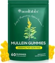 Mullein Gummies για τον καθαρισμό του πνεύμονα, Φυσική Mullein για την υποστήριξη καθαρισμού του πνεύμονα, Lung Cleanse για τους καπνιστές, Mullein φυτικά συμπληρώματα με Chlorophyll (60 μάσημα)