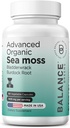 Organic Irish Sea Moss, Bladderwrack & Burdock Root Supplement 1405mg, 60 κάψουλες Veg - Ανοσοποιητικό Booster, Gut Health, Skin Detox & Κοινή Υποστήριξη (60 Count (Pack of 1))